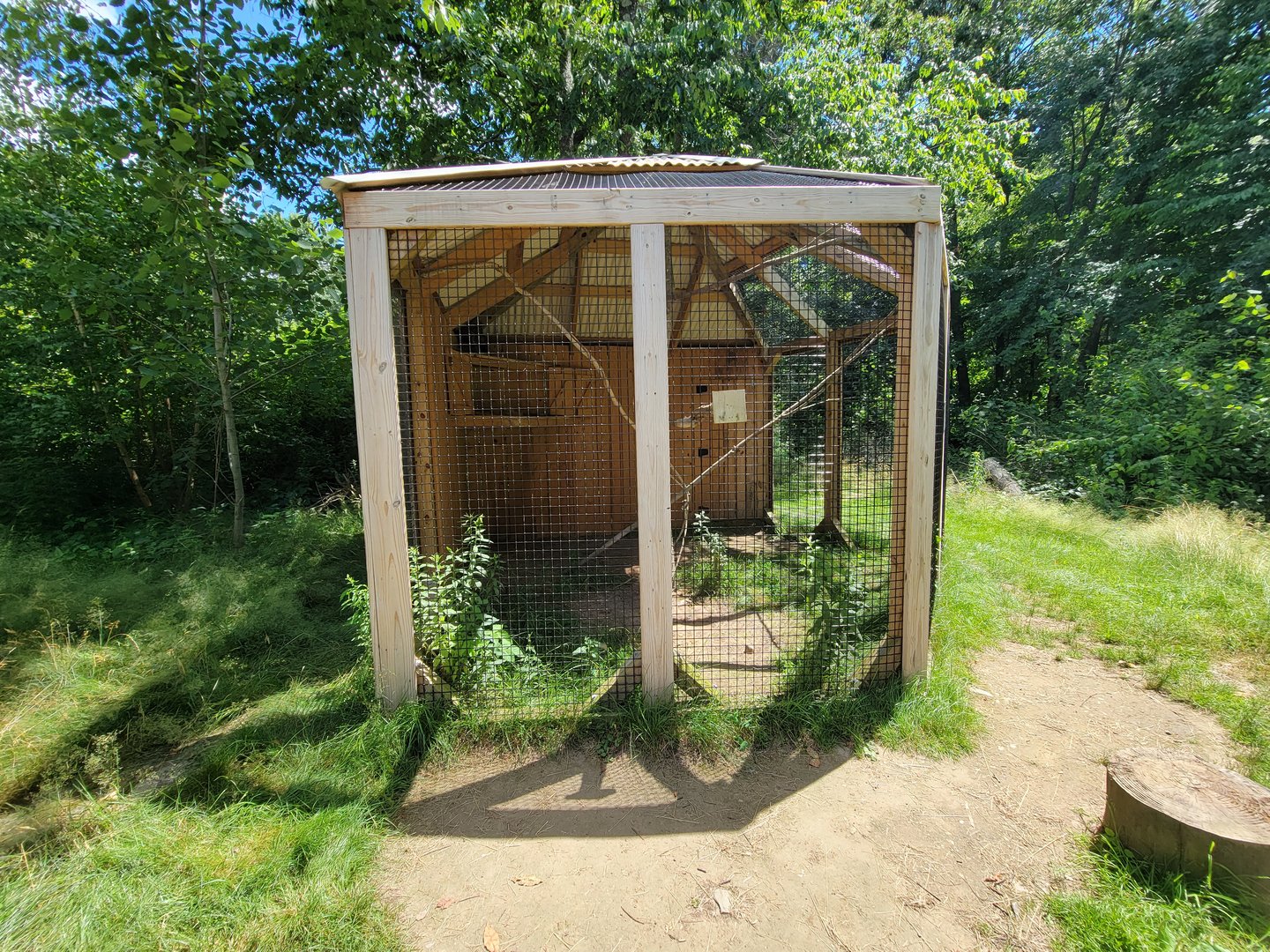 Animal Adventures MA 7/22 - Unsigned and empty bird cage