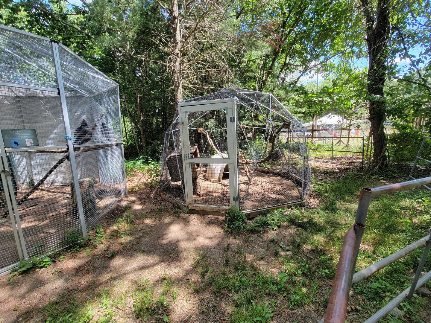 Animal Adventures MA 7/22 - Unsigned and empty, maybe primate?