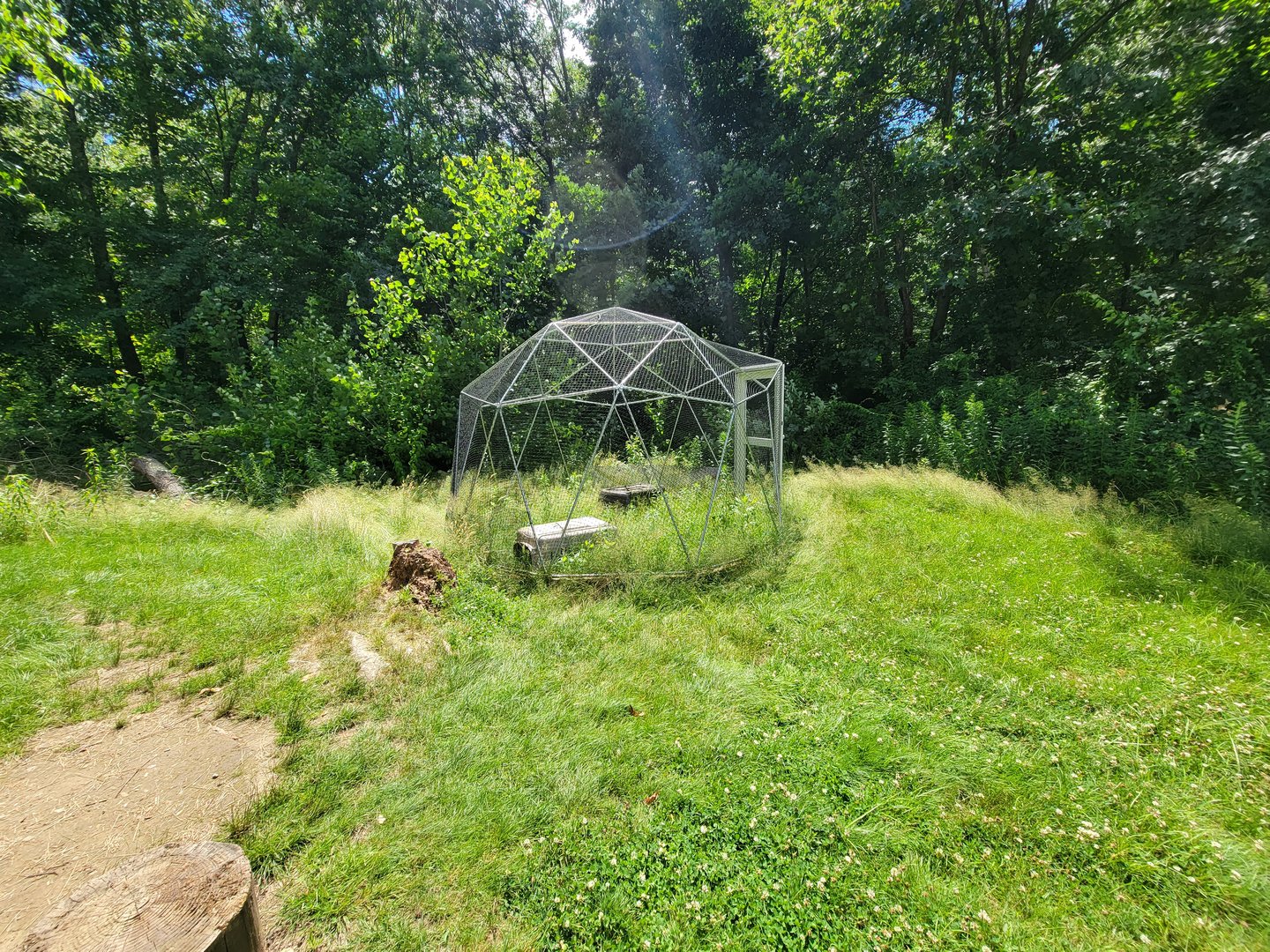 Animal Adventures MA 7/22 - Unsigned and empty