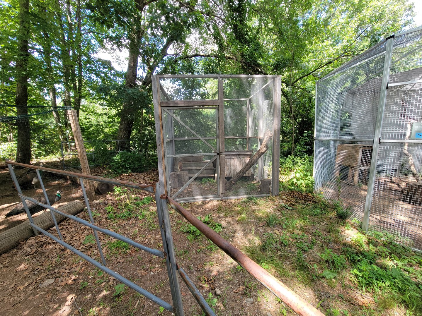 Animal Adventures MA 7/22 - Unsigned and empty