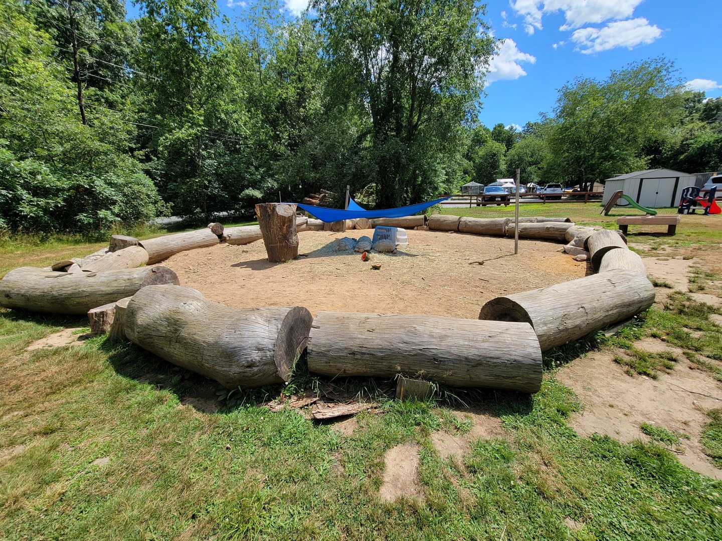 Animal Adventures MA 7/22 - Unsigned tortoises