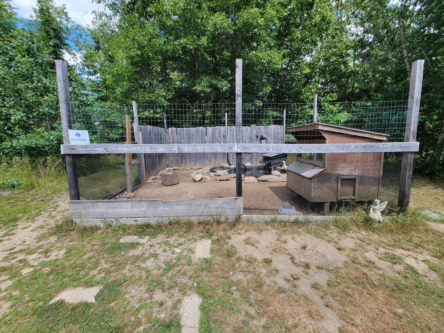 Animal Adventures MA 7/22 - Unsigned turtles and ducks