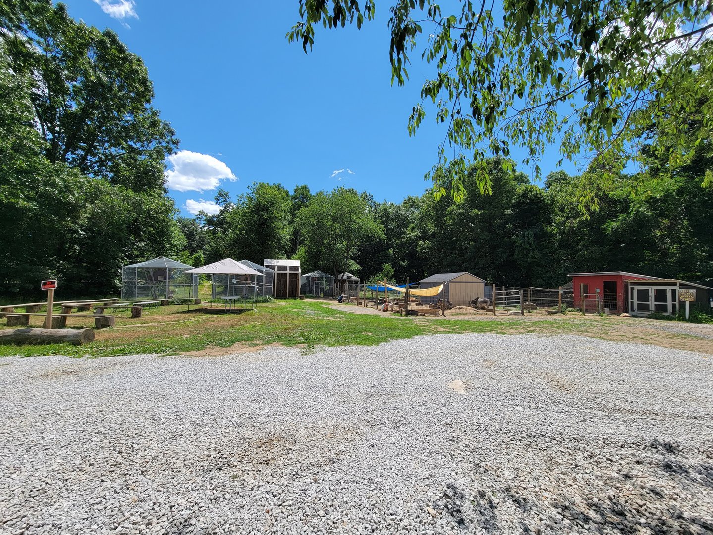 Animal Adventures MA 7/22 - View from parking lot