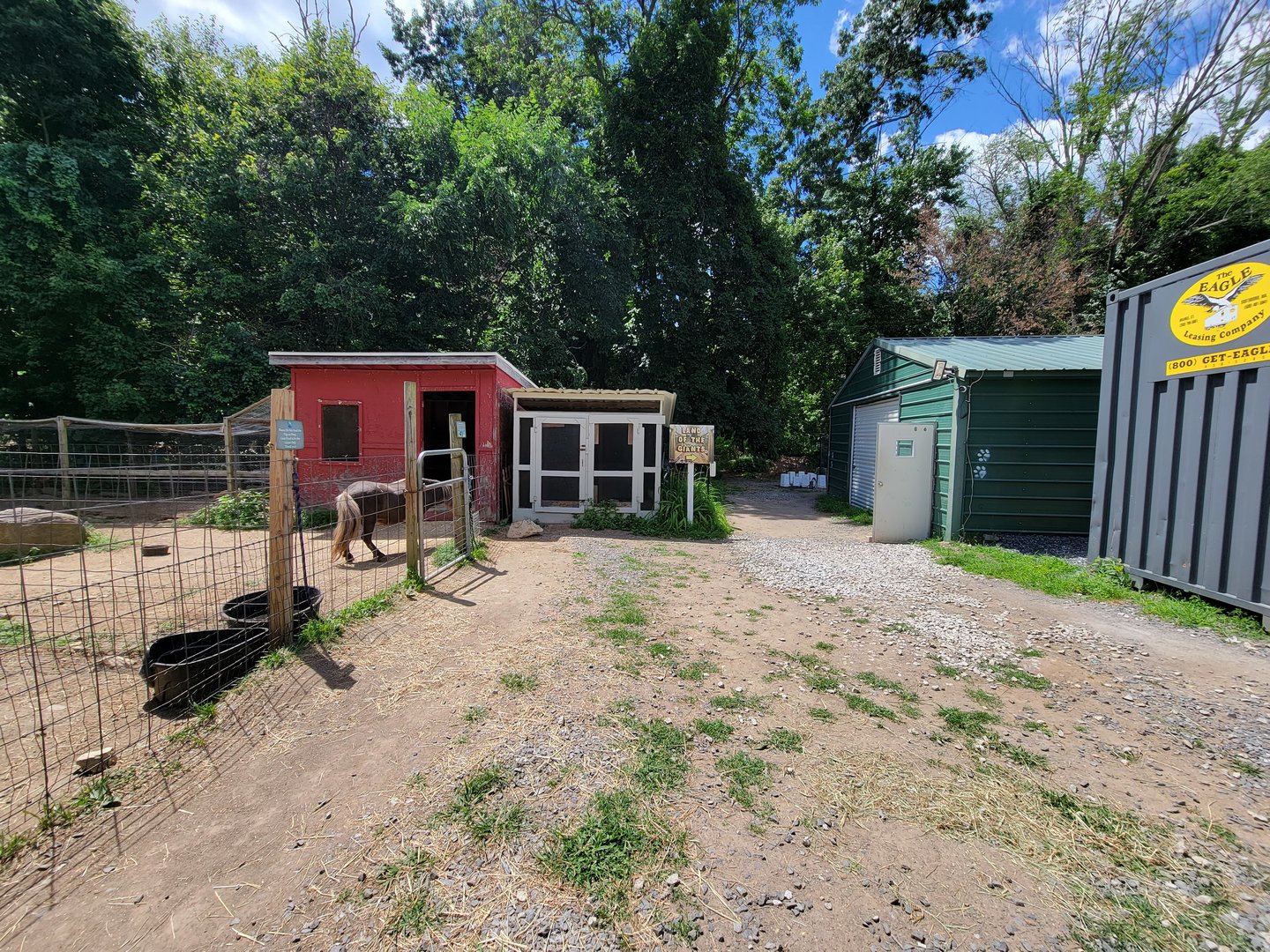 Animal Adventures MA 7/22 - Walking back to building, domestics on left, giant reptiles building on right