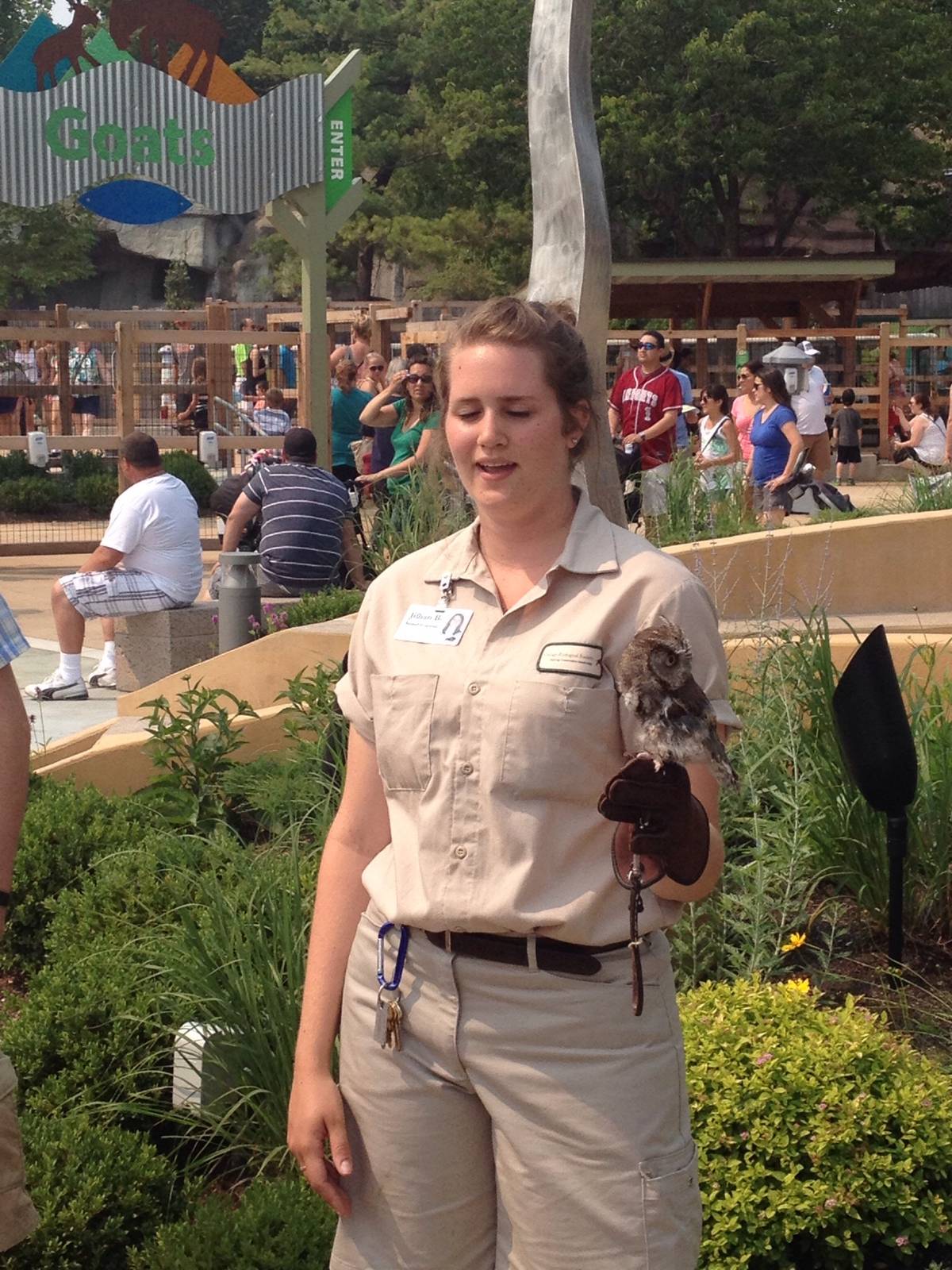 Animal Ambassador- Eastern Screech Owl
