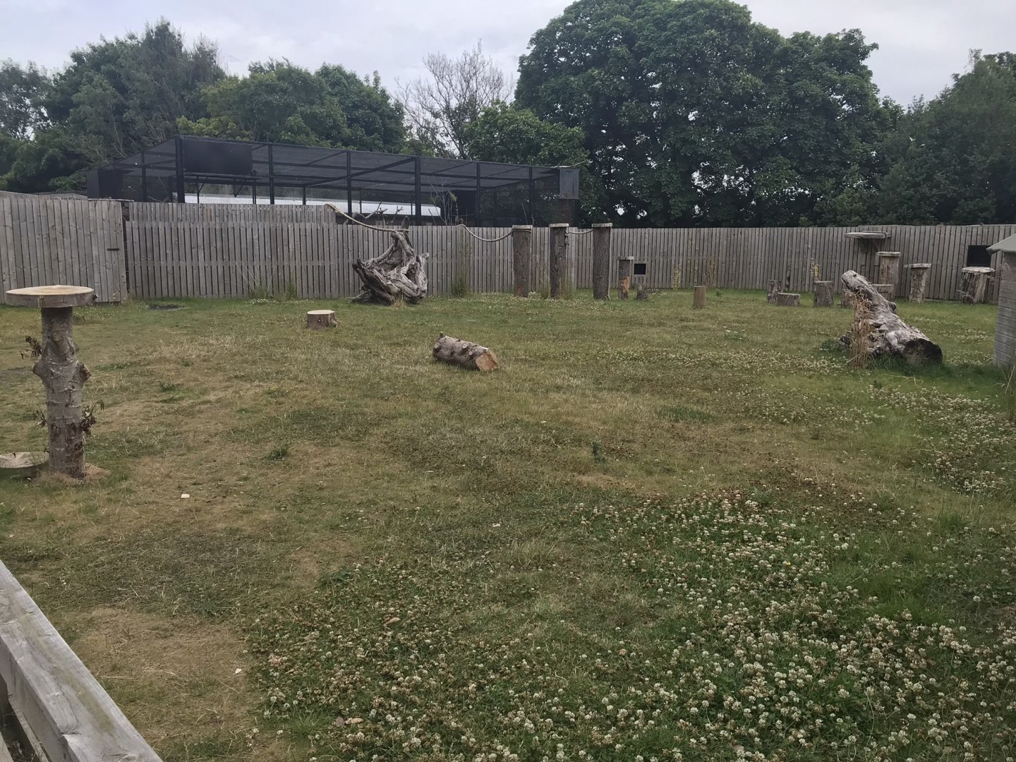 Animal antics show area