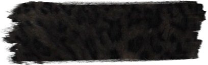 Animal Art? Snowleopard