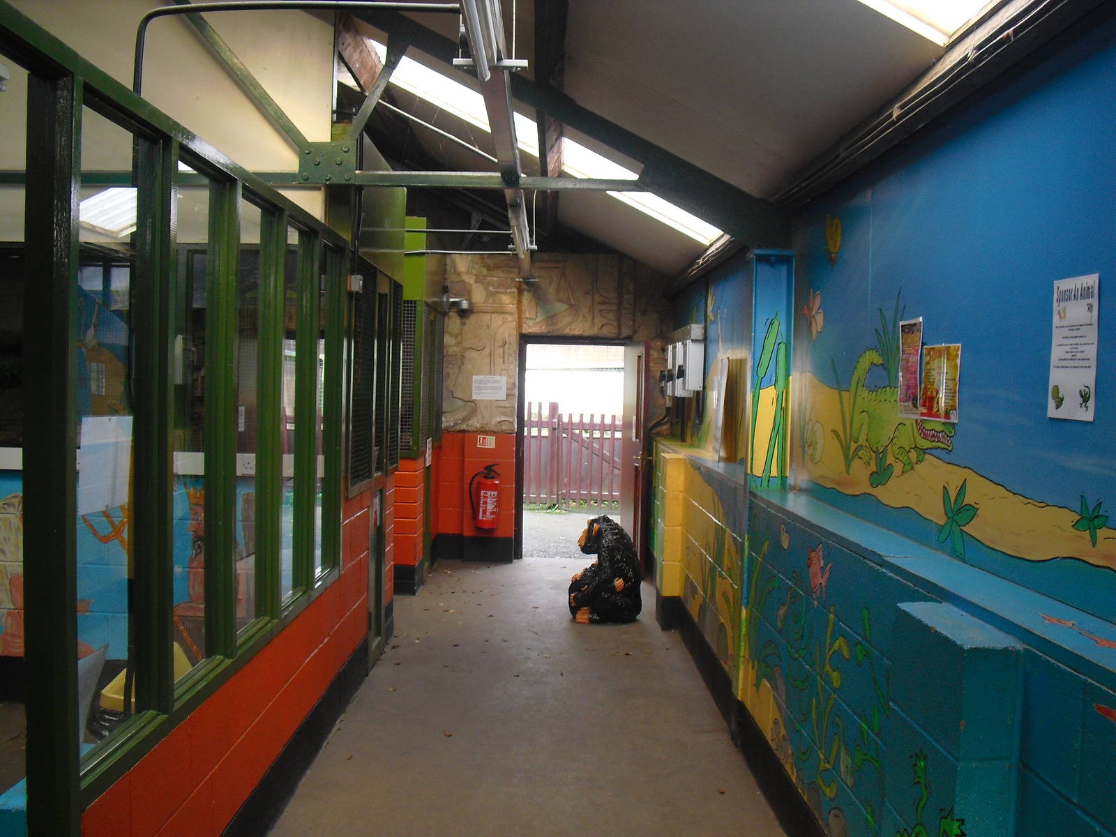 Animal Building - 16/10/2011