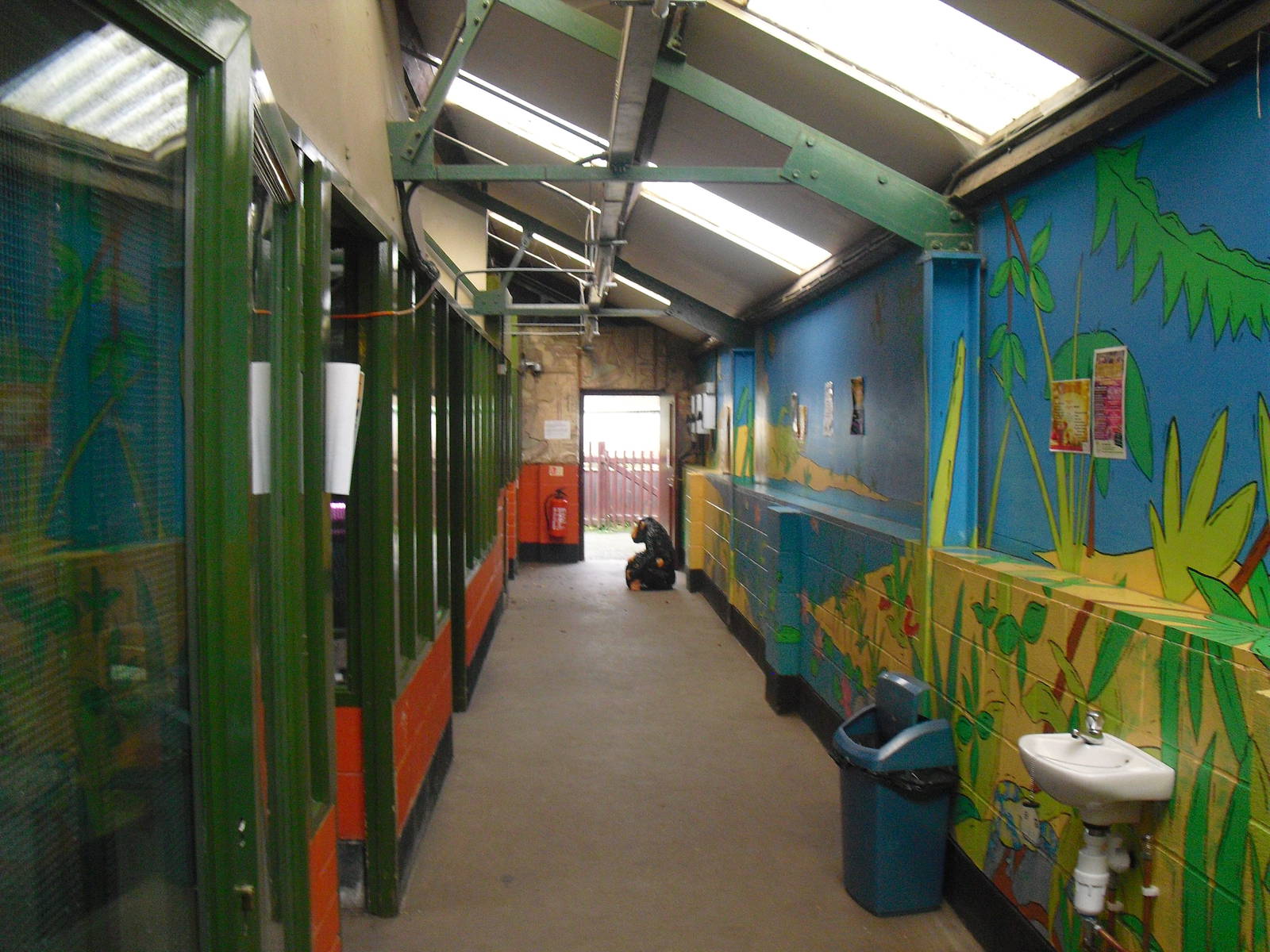 Animal Building - 16/10/2011