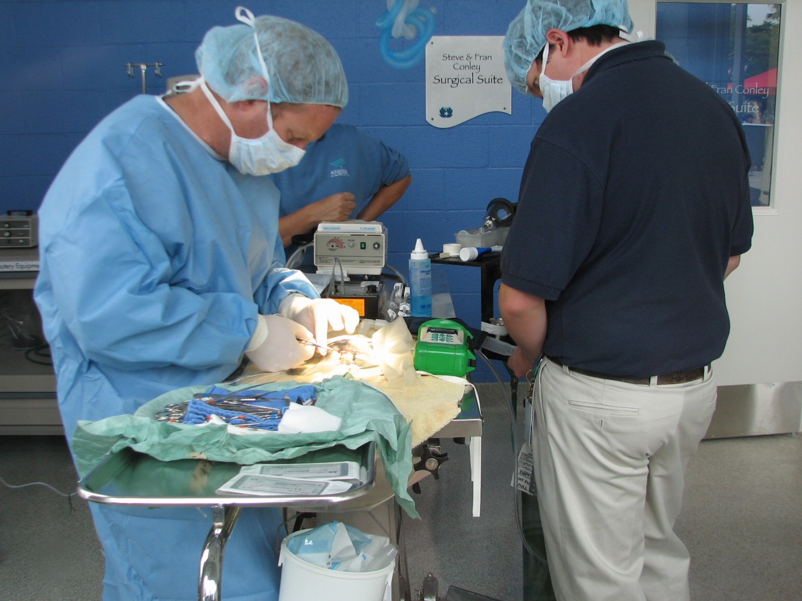 Animal Care Center - Animal Hospital - Surgery Room