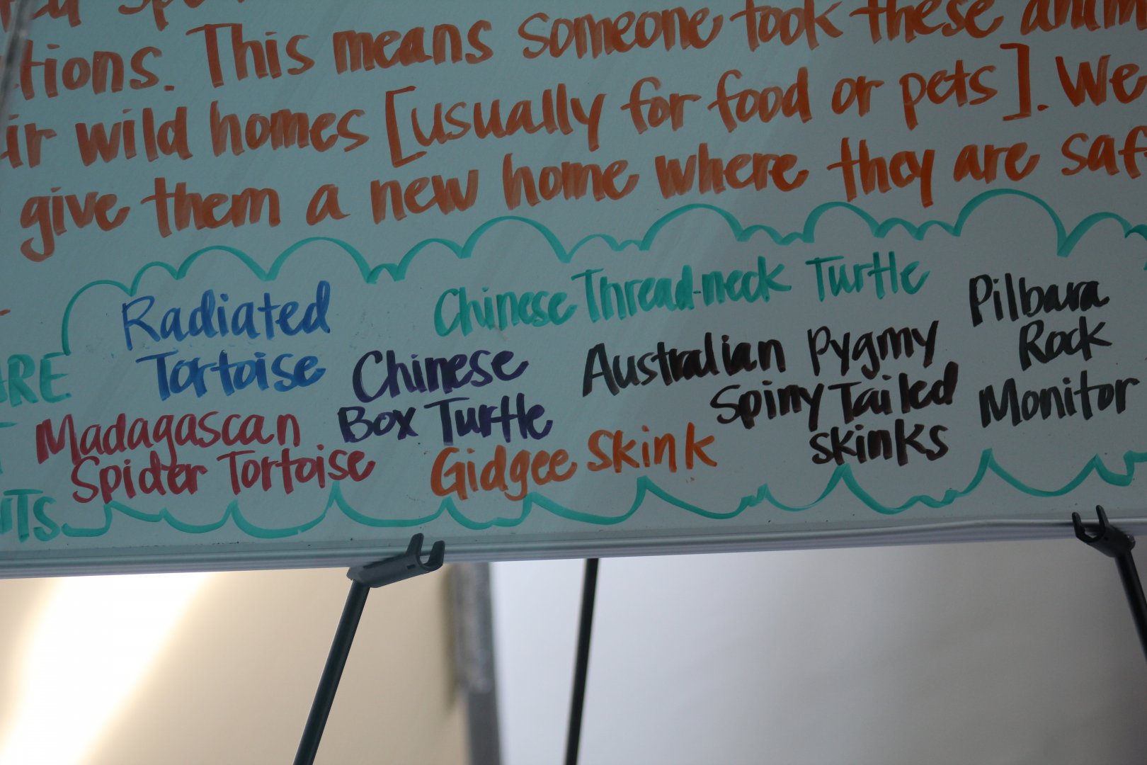 Animal Confiscation List