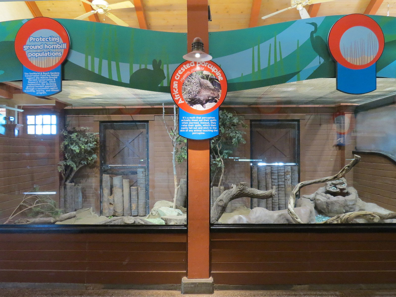 Animal Connections - African Crested Porcupine Exhibit