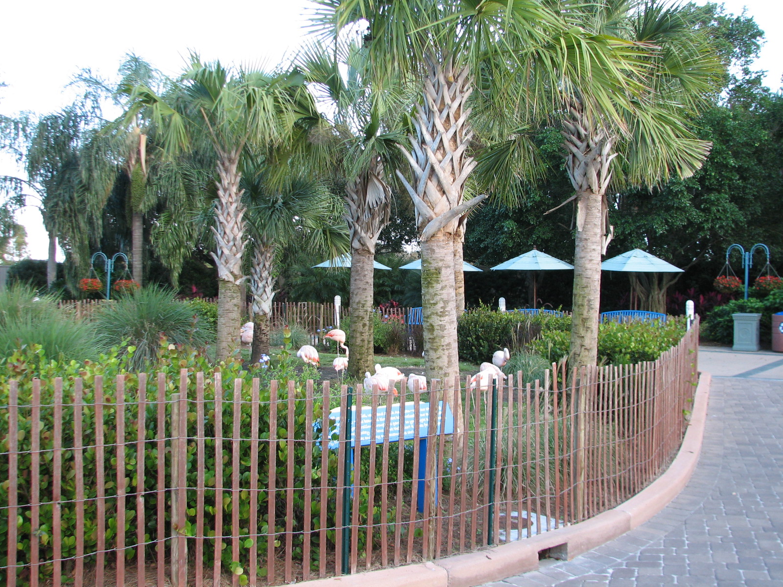 Animal Connections at SEAGarden - Chilean Flamingo Exhibit