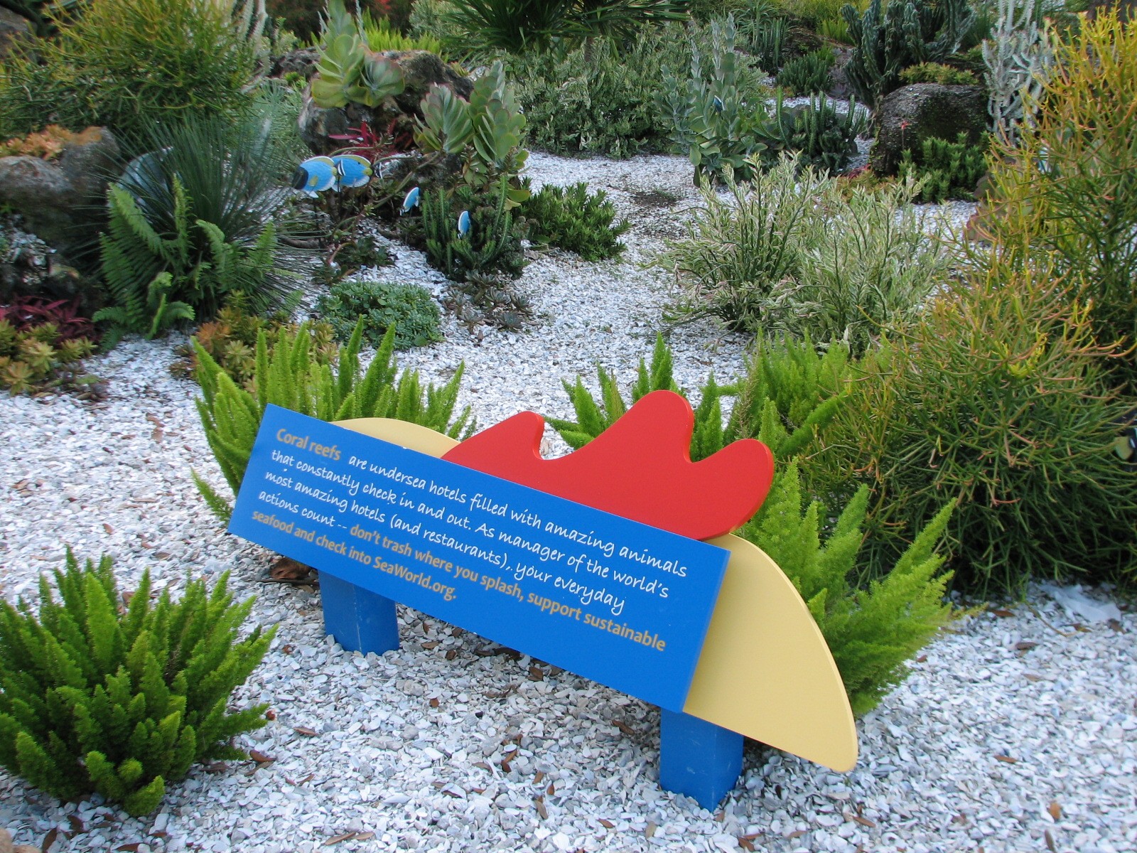 Animal Connections at SEAGarden - Coral Reef Interpretive Landscape