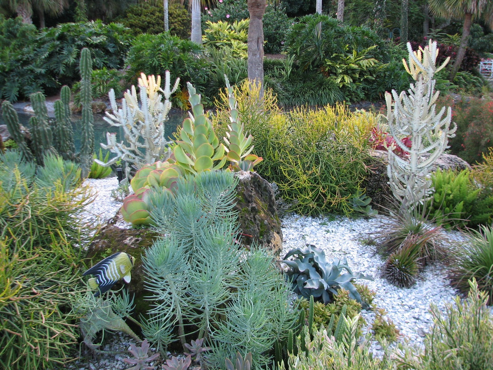 Animal Connections at SEAGarden - Coral Reef Interpretive Landscape