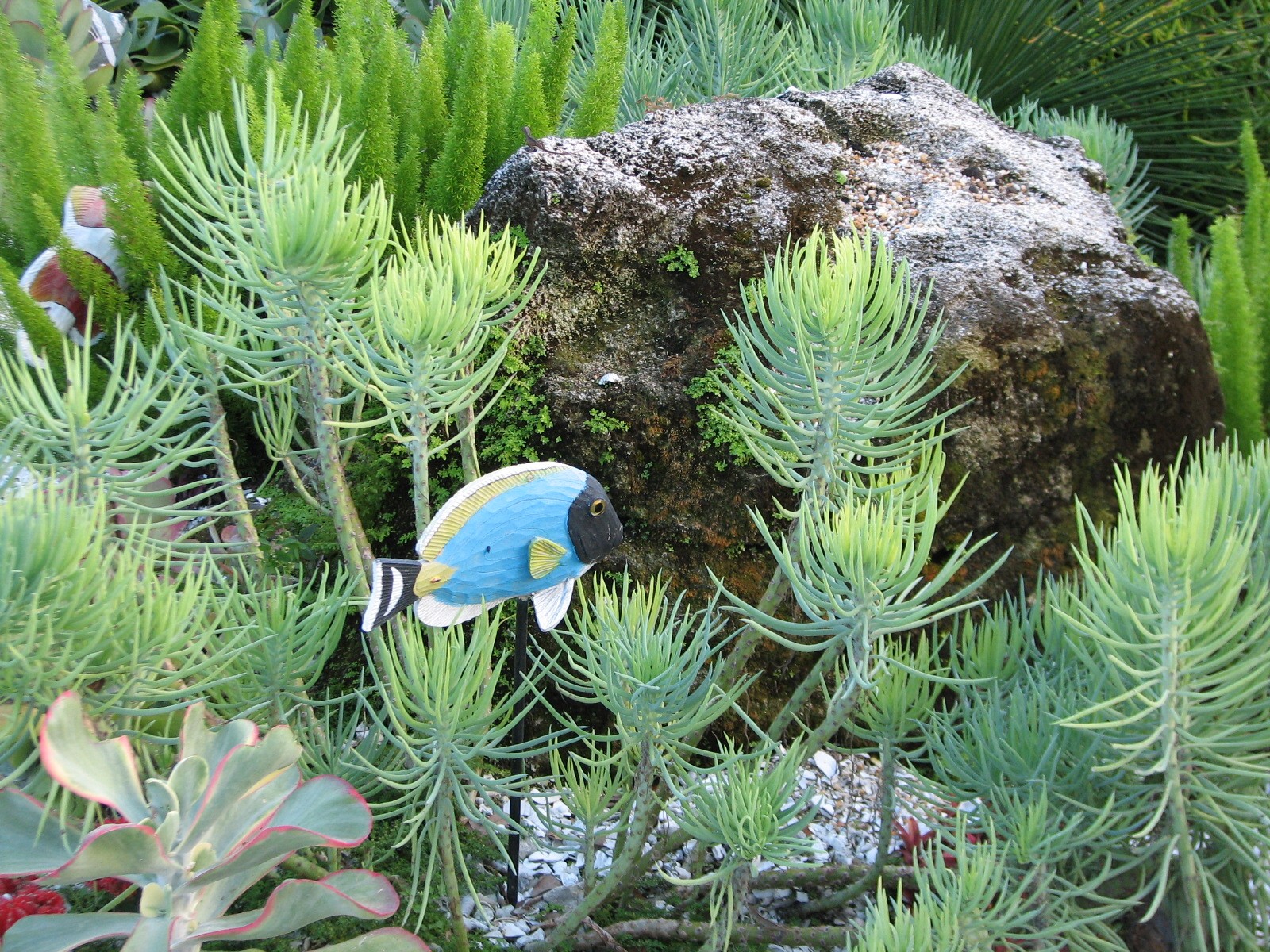 Animal Connections at SEAGarden - Coral Reef Interpretive Landscape