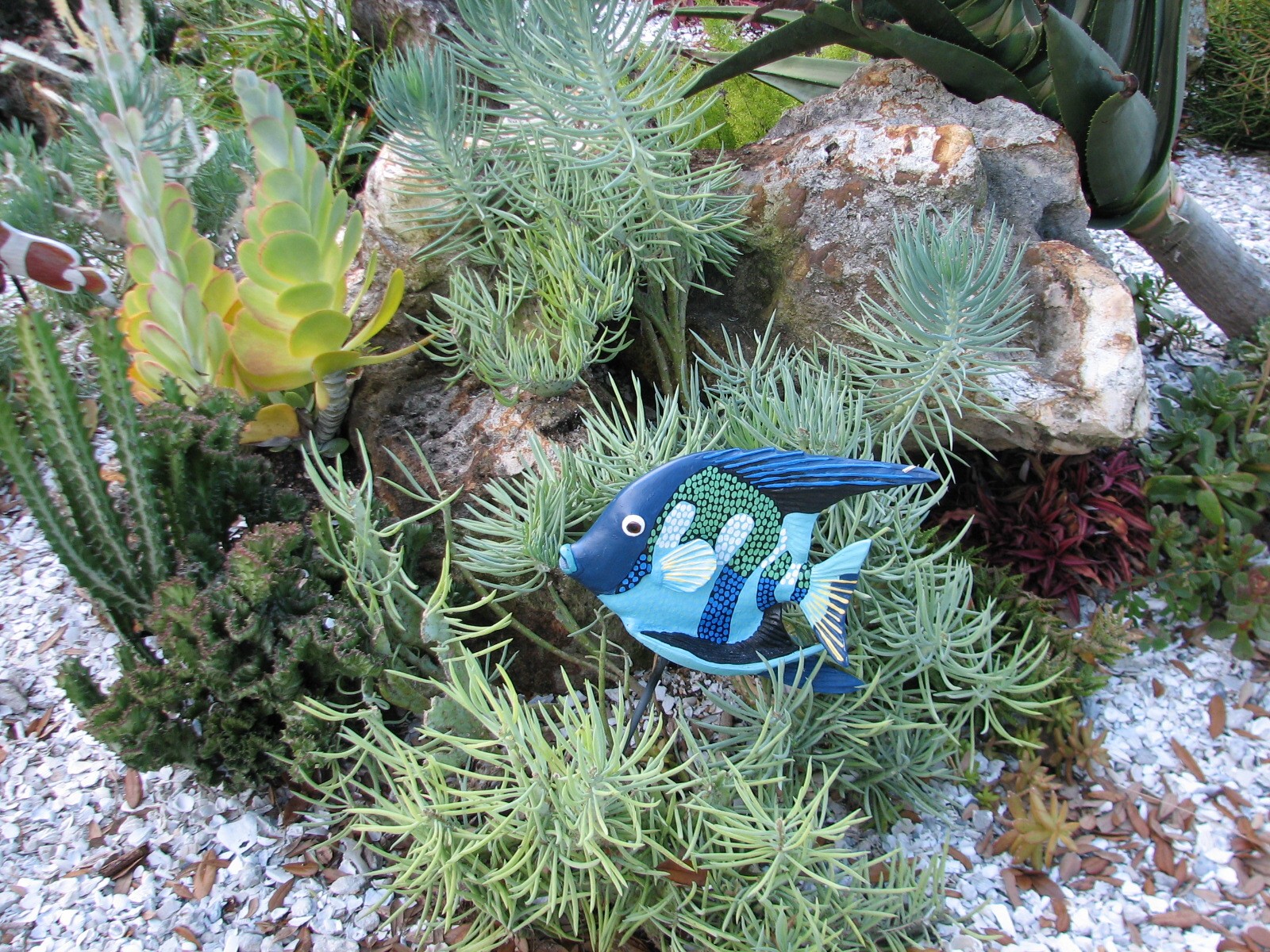 Animal Connections at SEAGarden - Coral Reef Interpretive Landscape