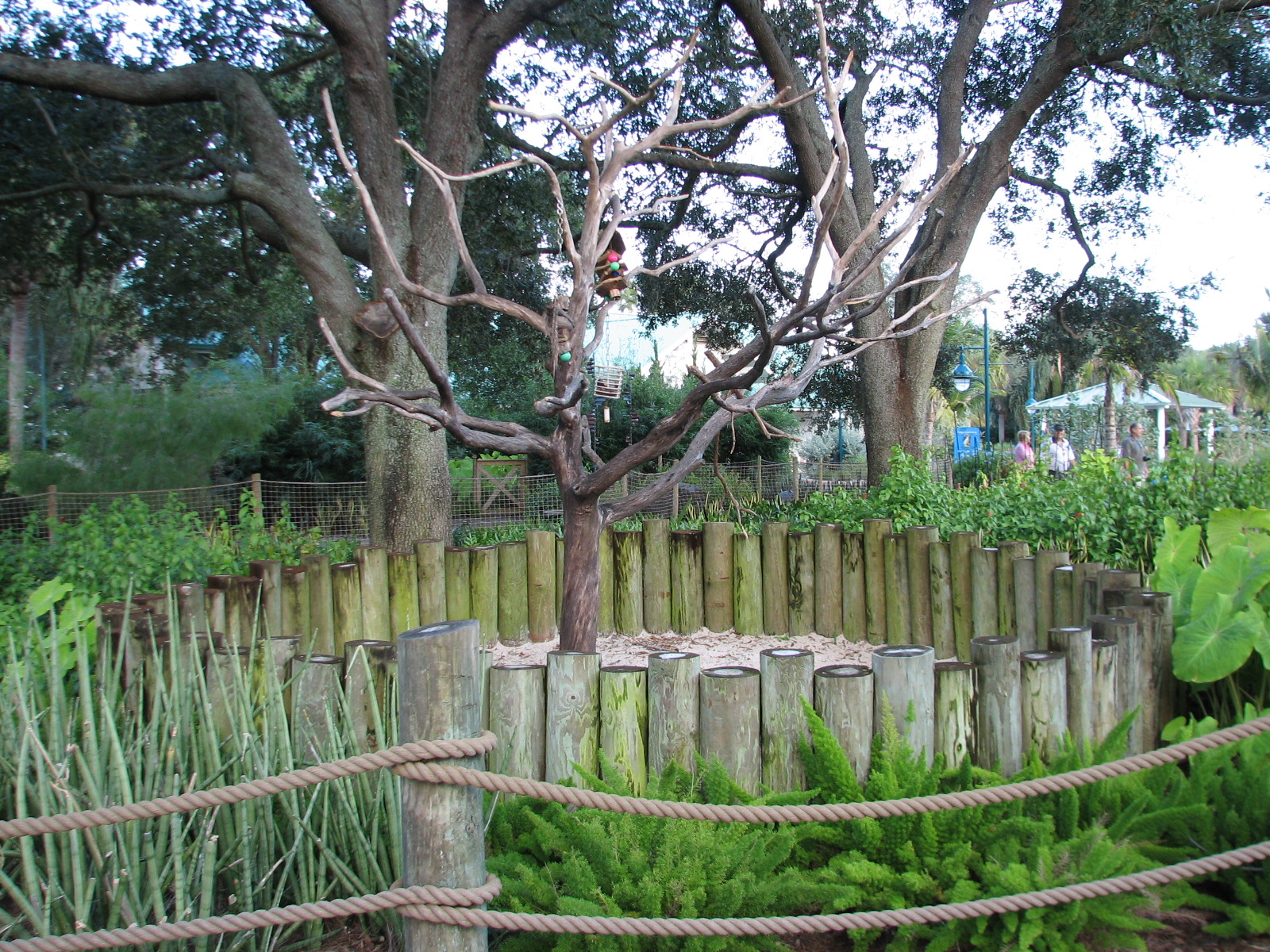 Animal Connections at SEAGarden - Macaw Exhibit