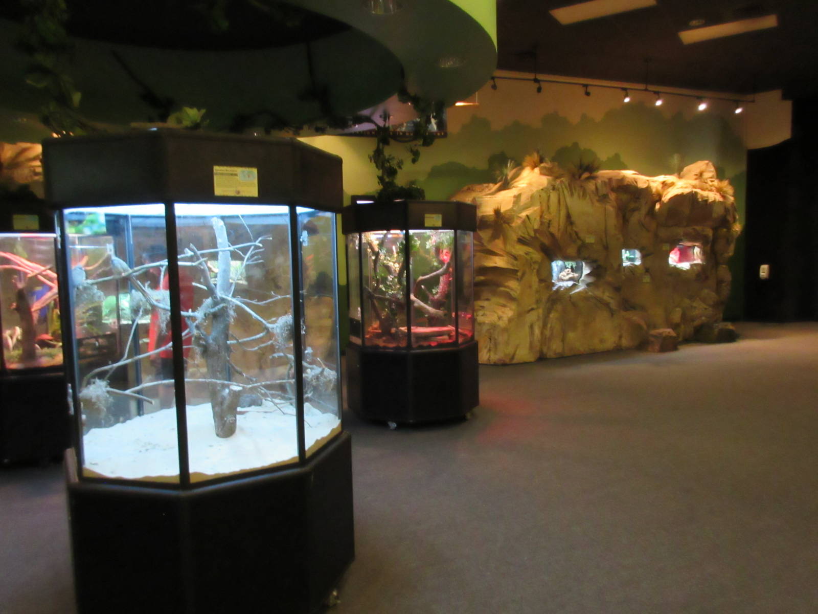 Animal Connections Conservation Center