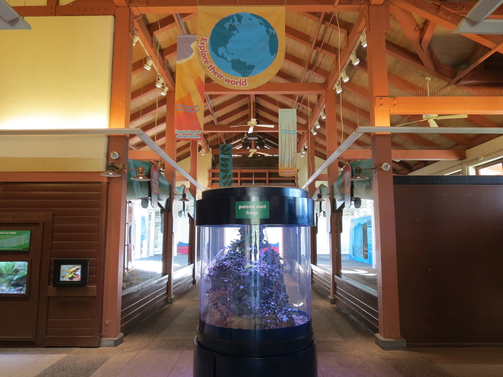 Animal Connections - Interior