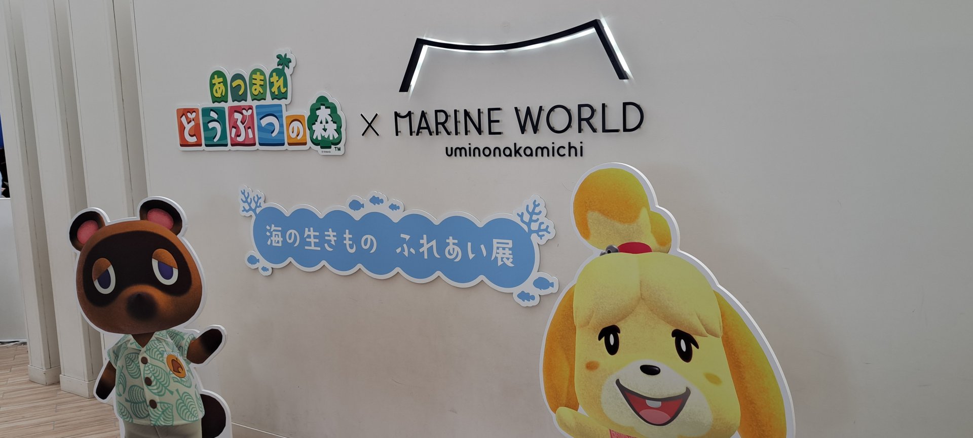 Animal Crossing Aquarium Tour