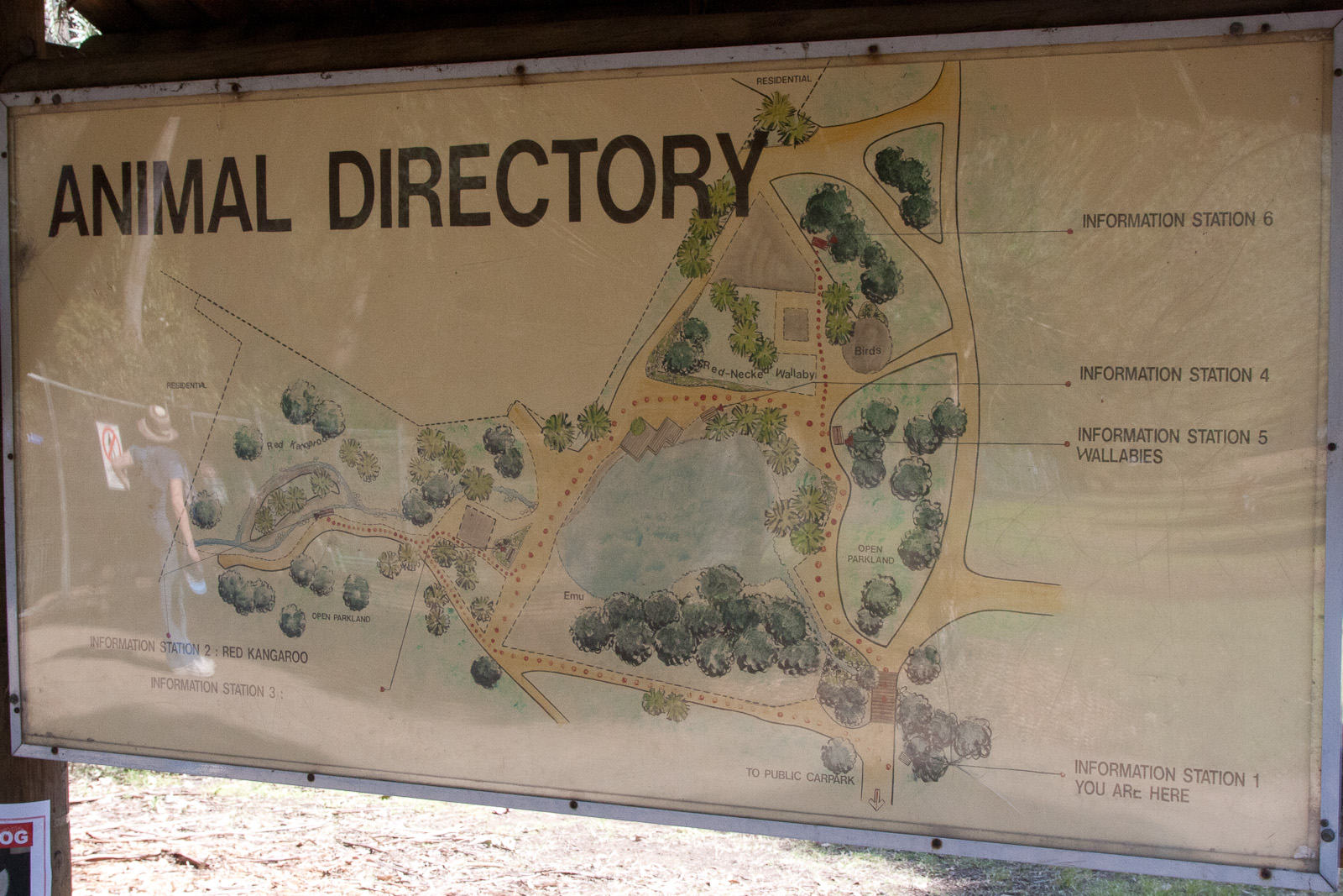 Animal directory, Sept 2011