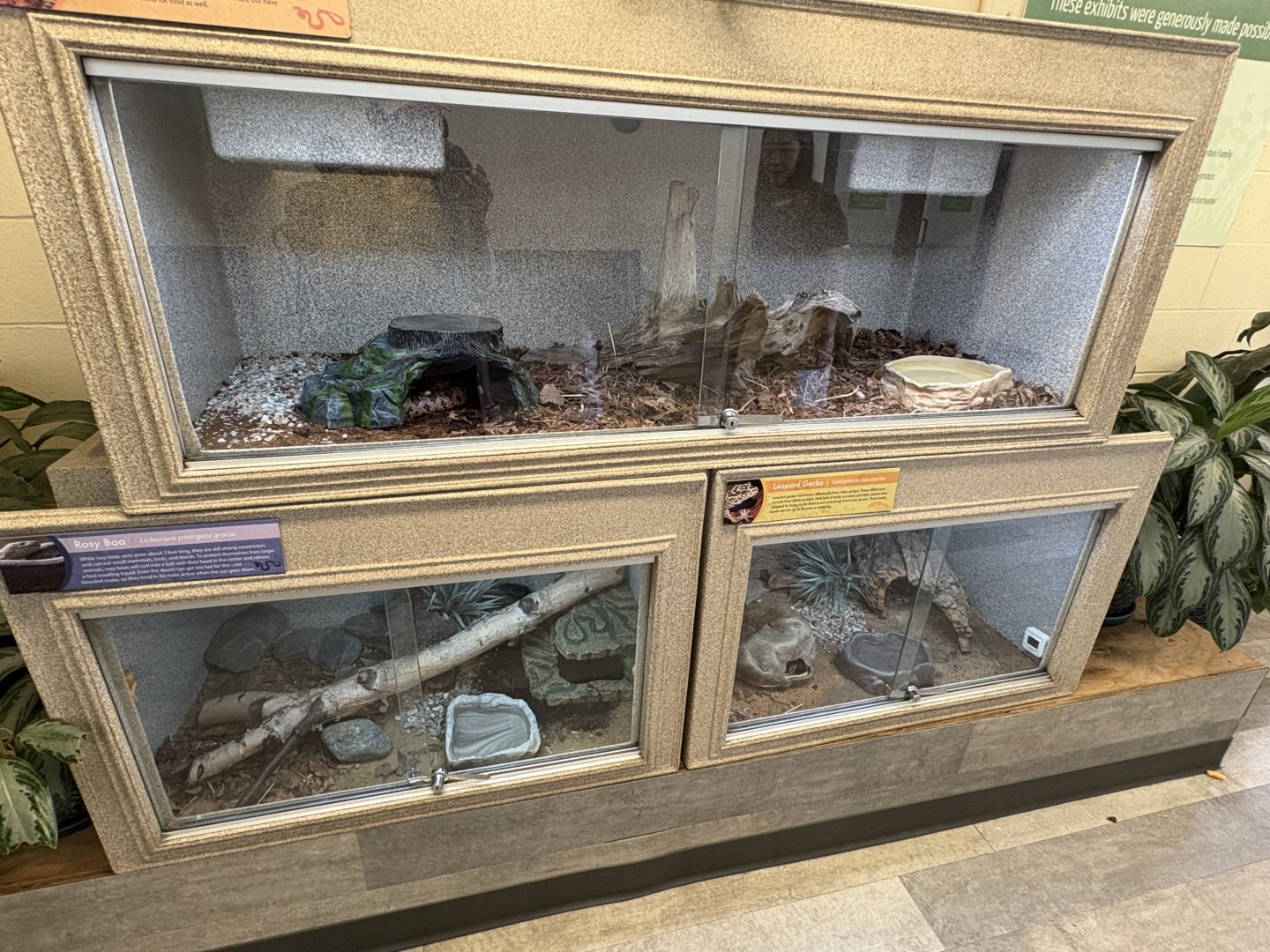 Animal Discovery Center - Assorted Enclosures