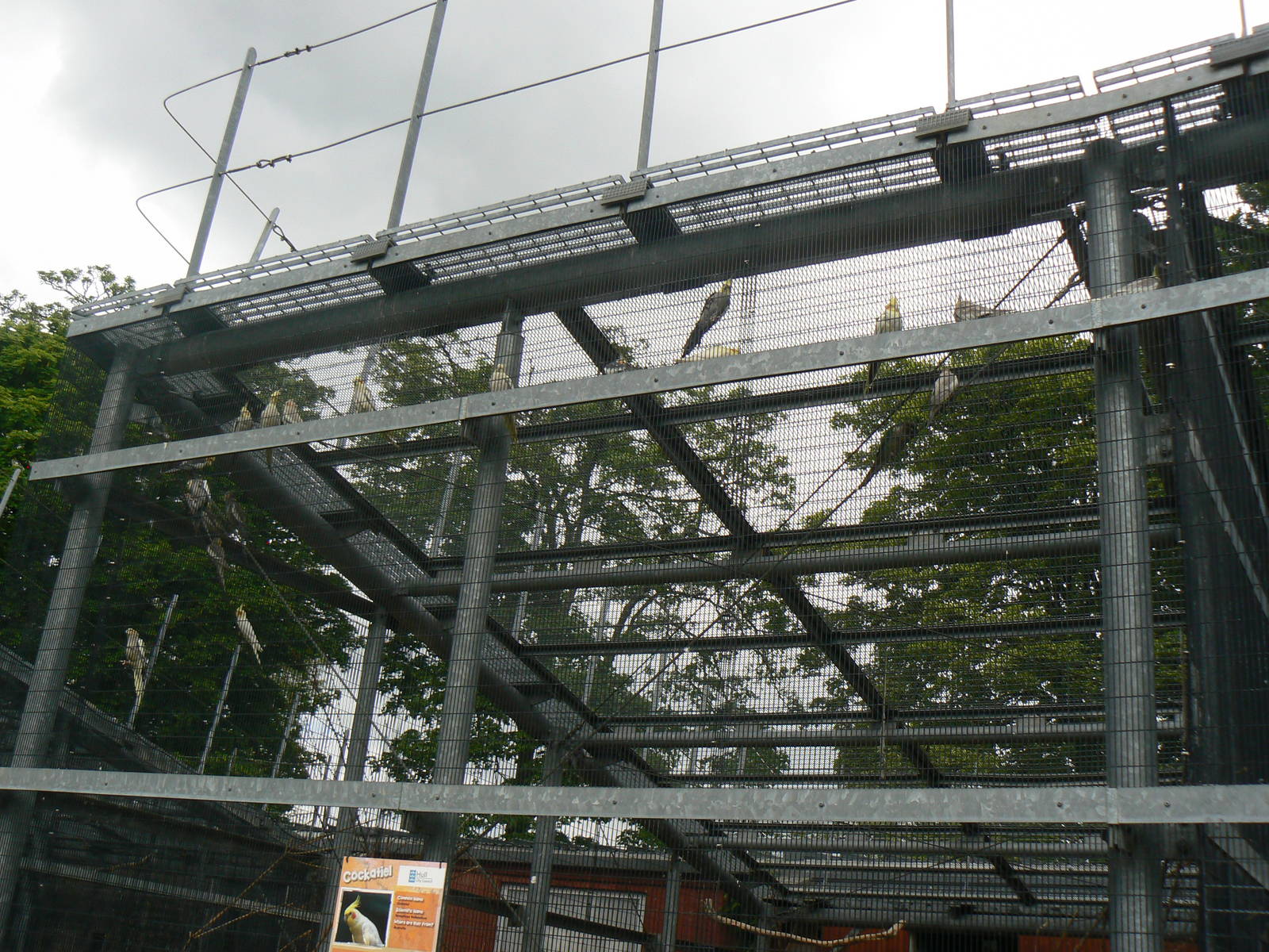 Animal Education Centre- Cockatiel Aviary