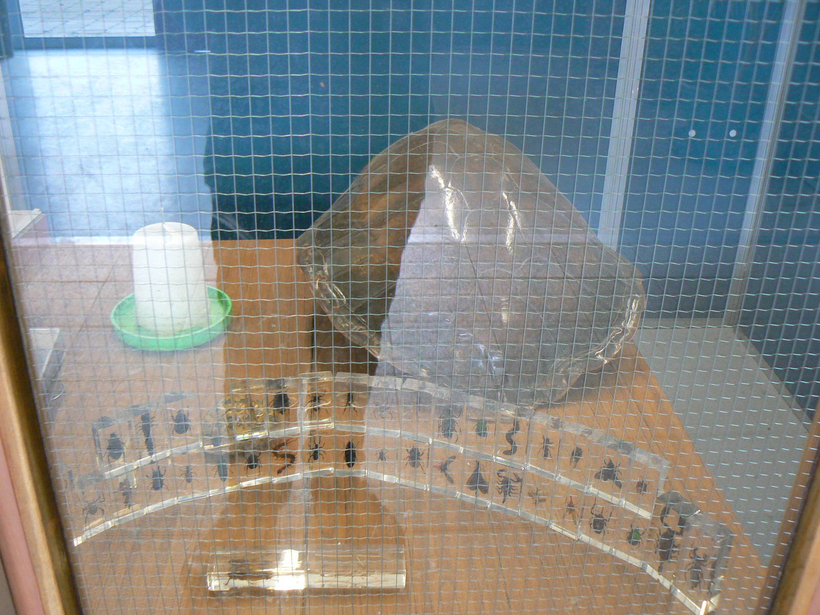 Animal Education Centre- Display