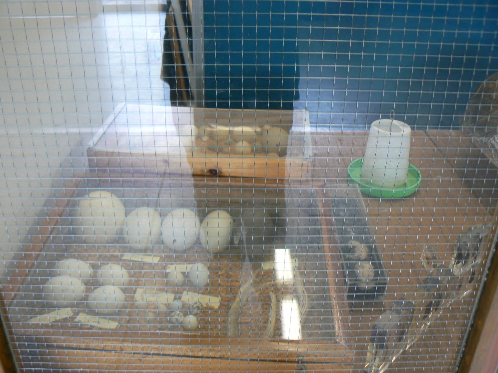 Animal Education Centre- Display