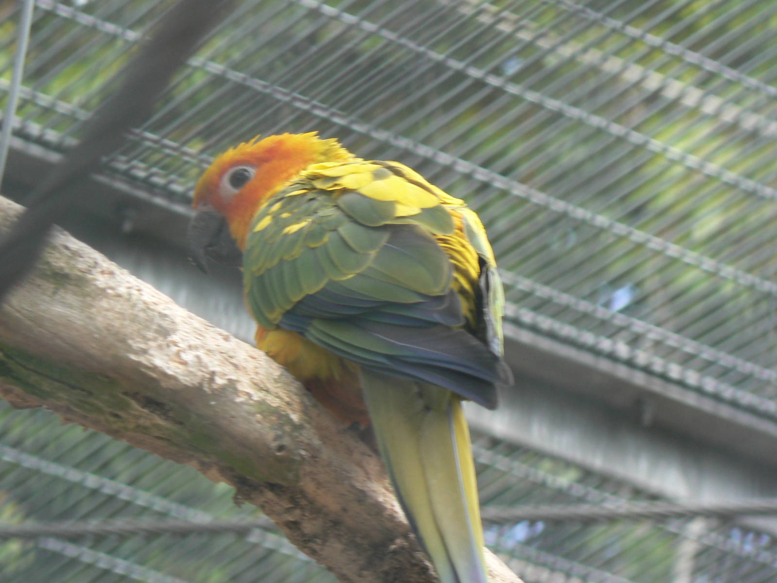 Animal Education Centre- Id?