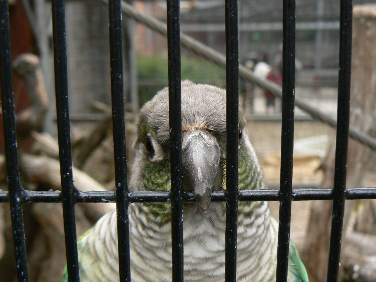 Animal Education Centre- Id?