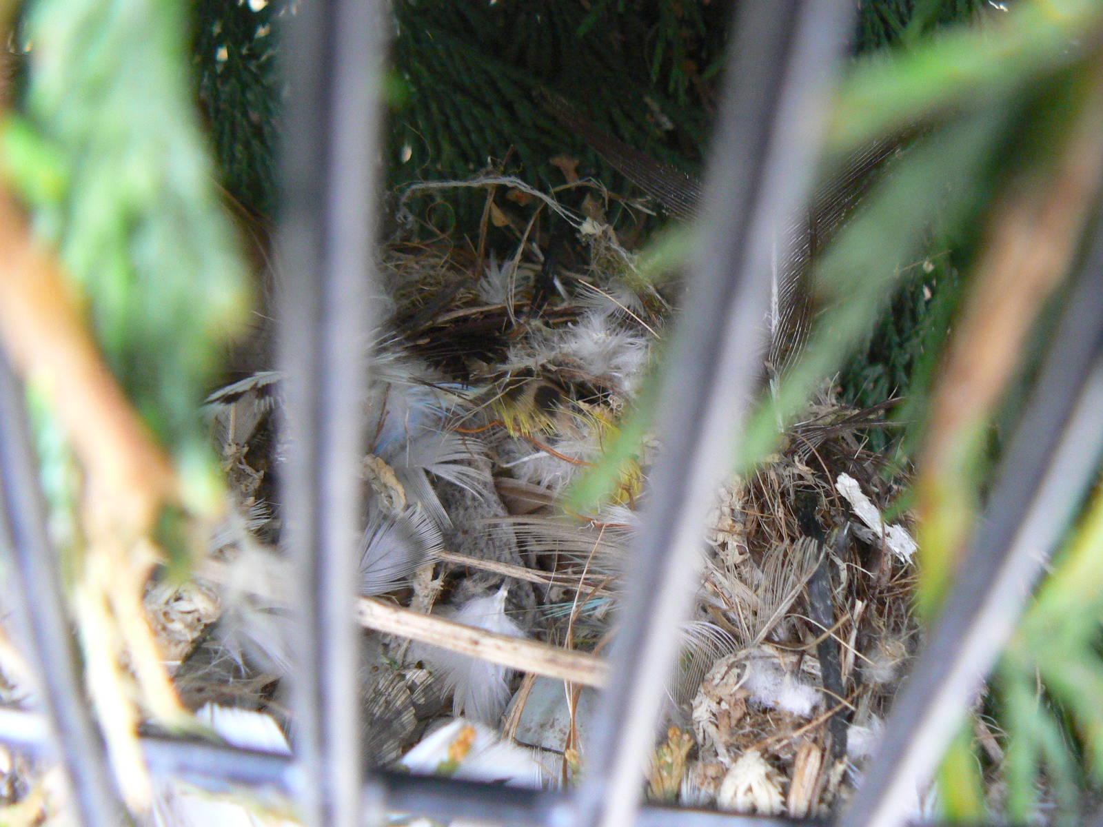 Animal Education Centre- Nest