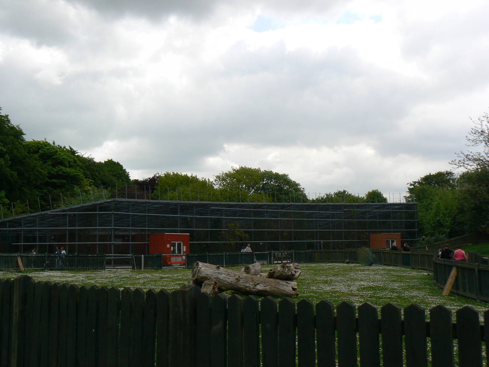 Animal Education Centre- Walkthrough Aviary