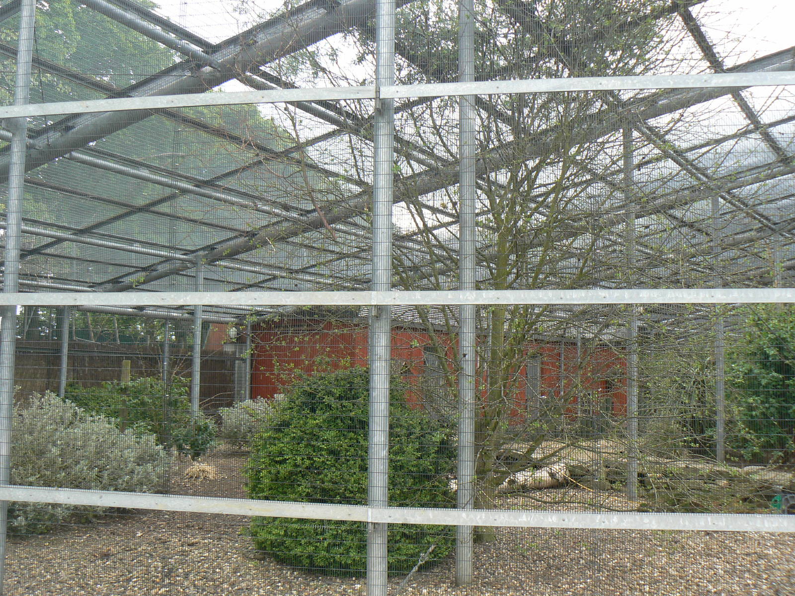 Animal Education Centre- Walkthrough Aviary