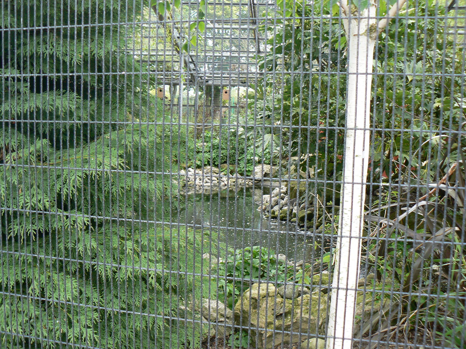 Animal Education Centre- Walkthrough Aviary