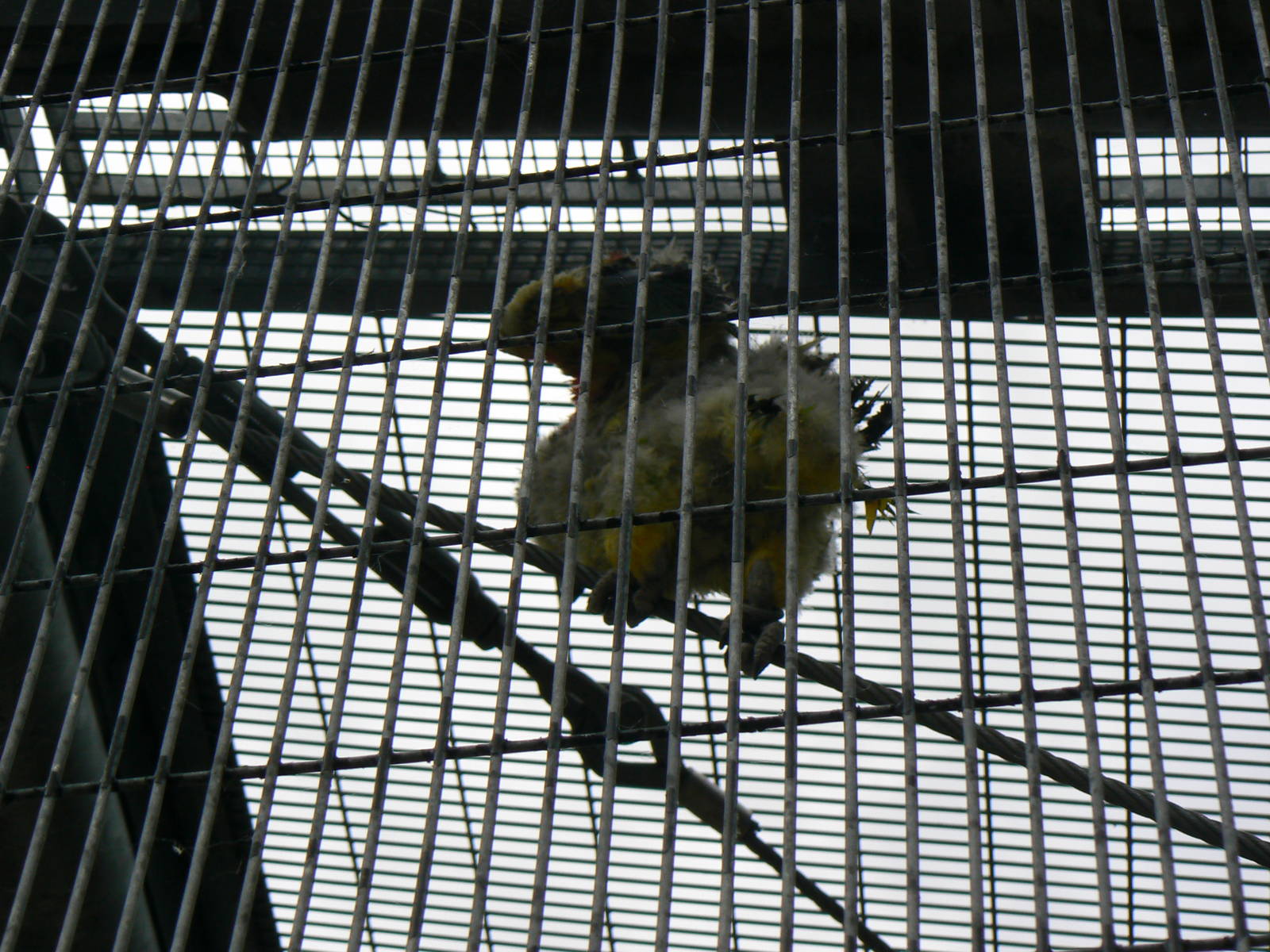 Animal Education Centre-