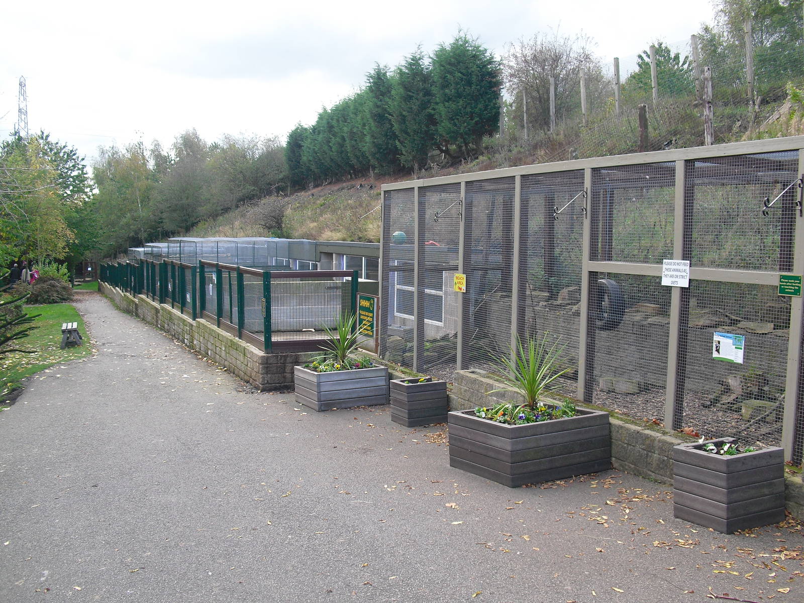 Animal Enclosures - 16/10/2011