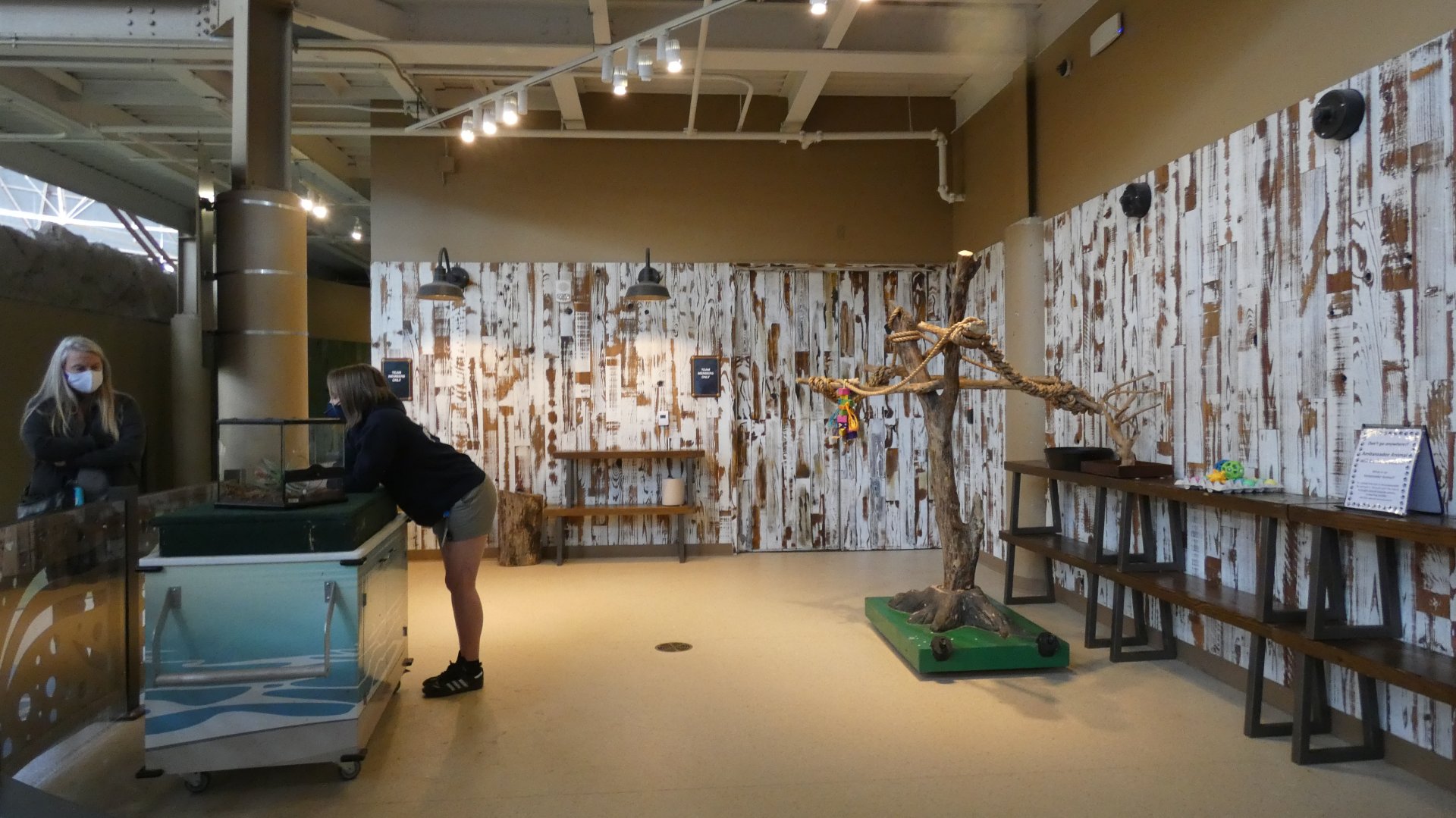 Animal Encounters Area - Mar. 2022