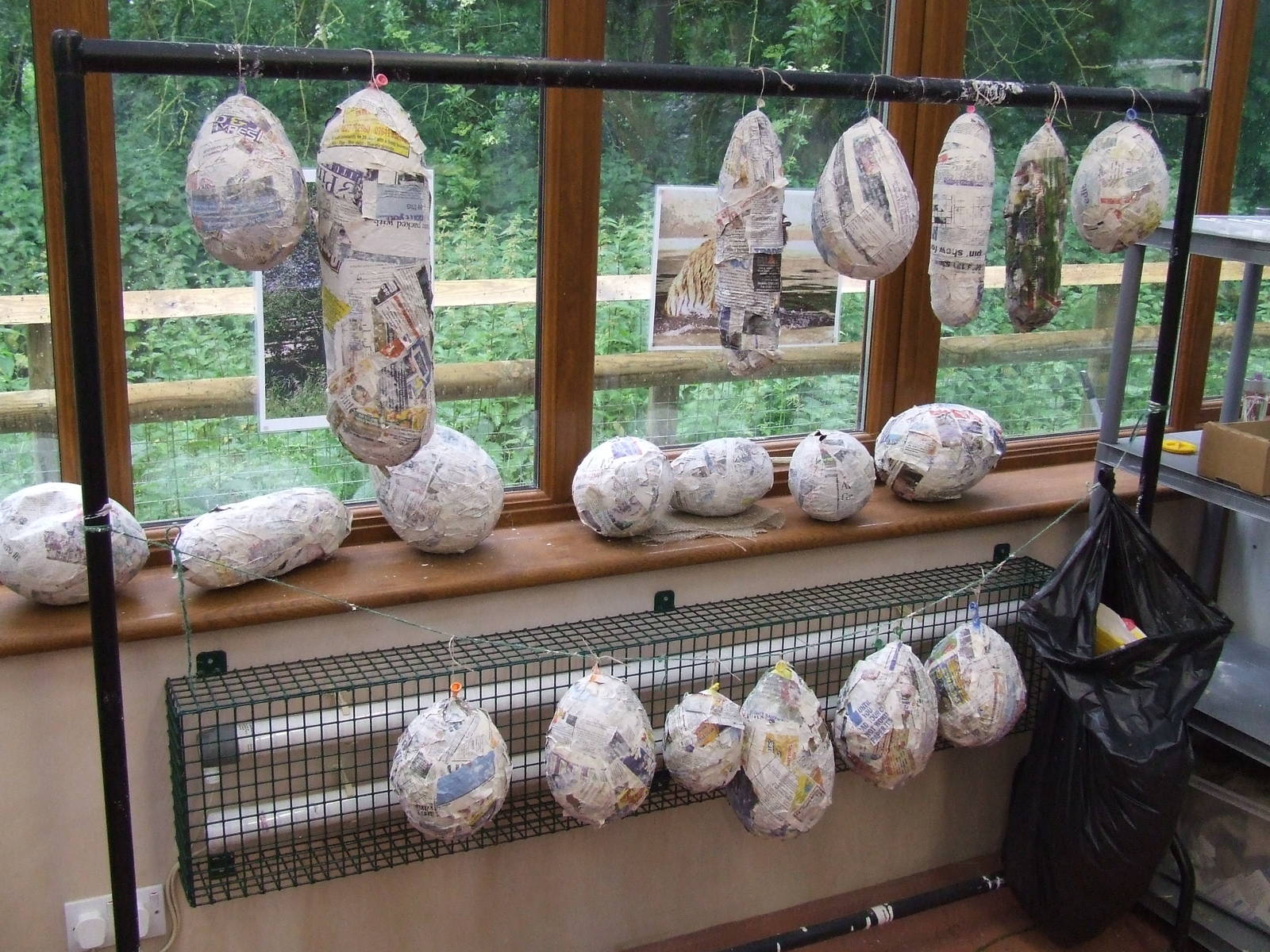 Animal Enrichment Workshop