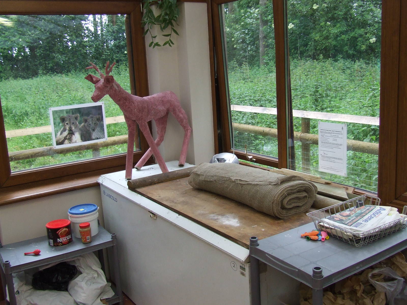 Animal Enrichment Workshop