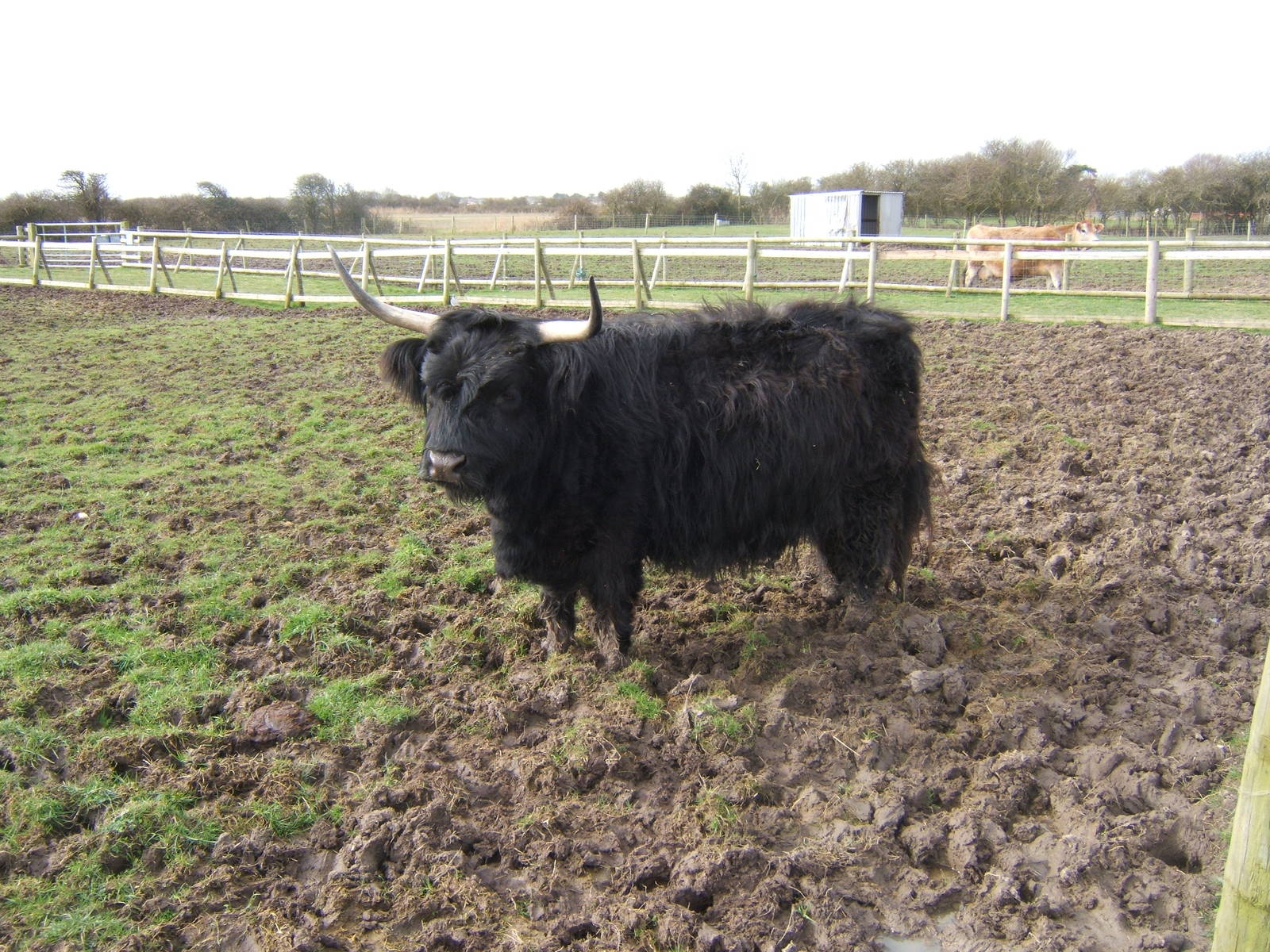 Animal Farm Adventure Park