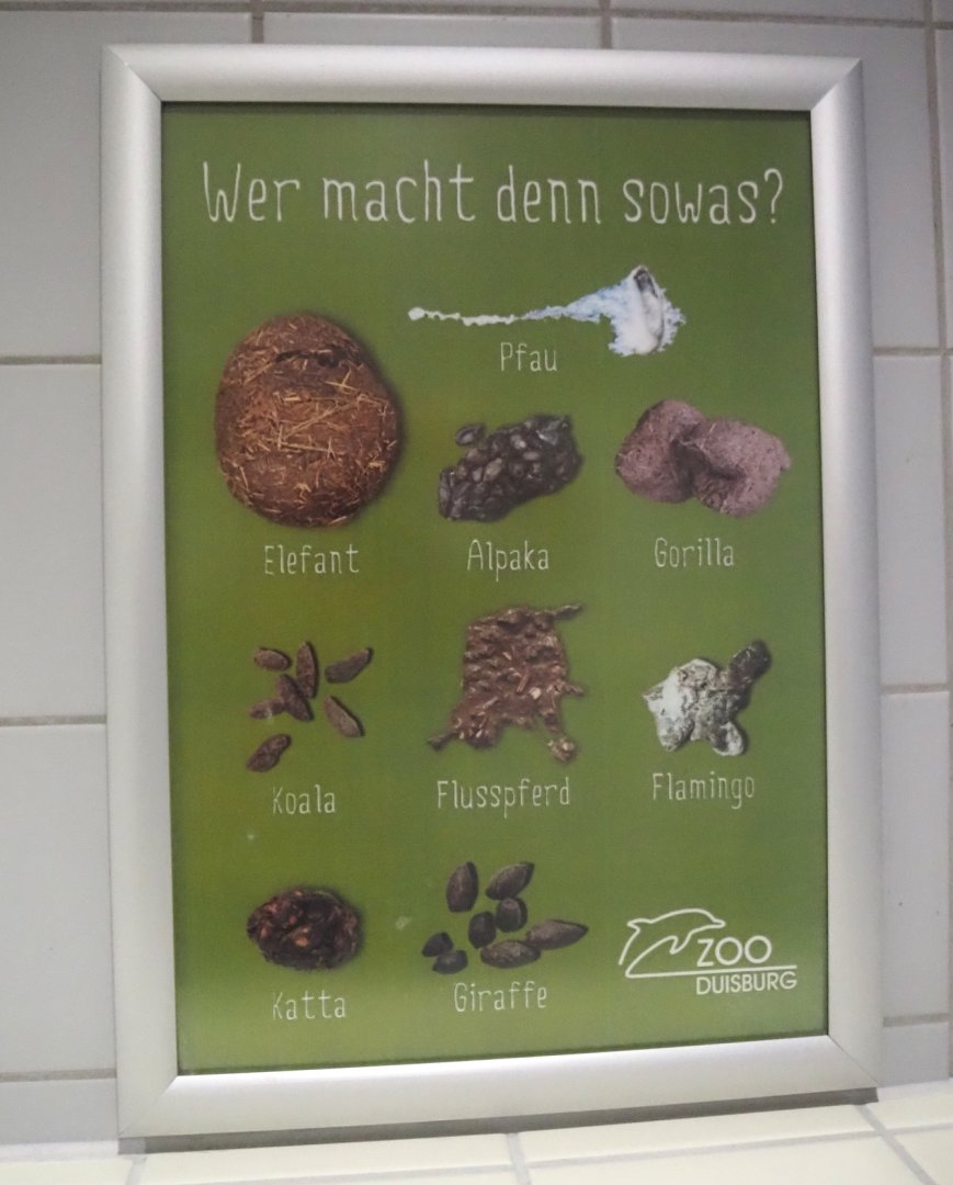 Animal feces sign, 2024-06-08