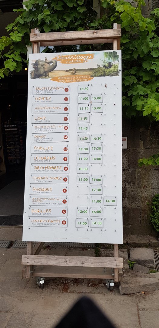 Animal feeding and shows timetable