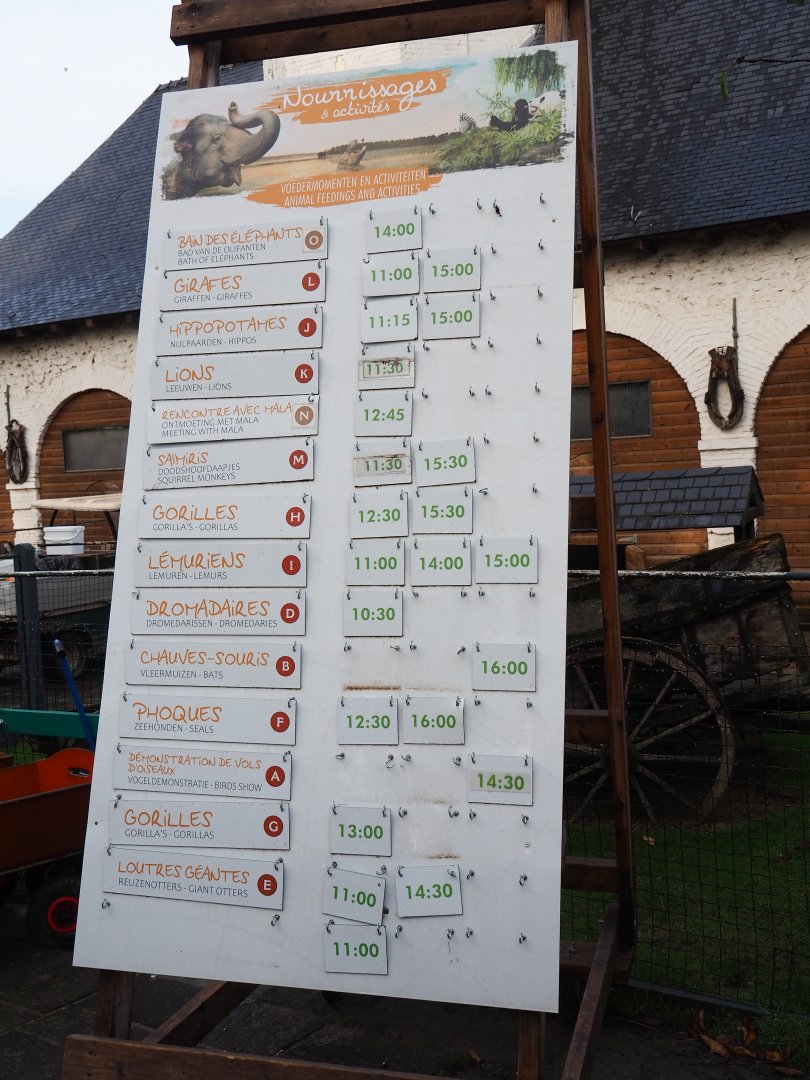 Animal feedings and show times sign, 2019-10-04