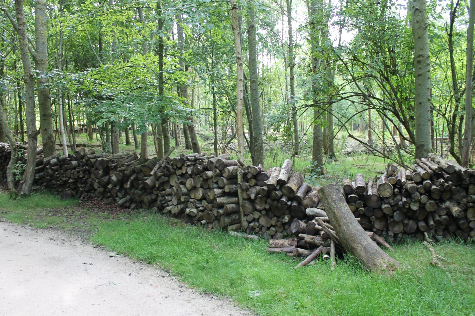 Animal-friendly fencing