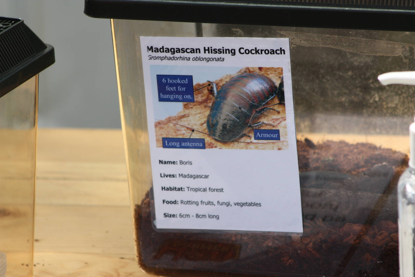 Animal handling company signage, 24th August 2014