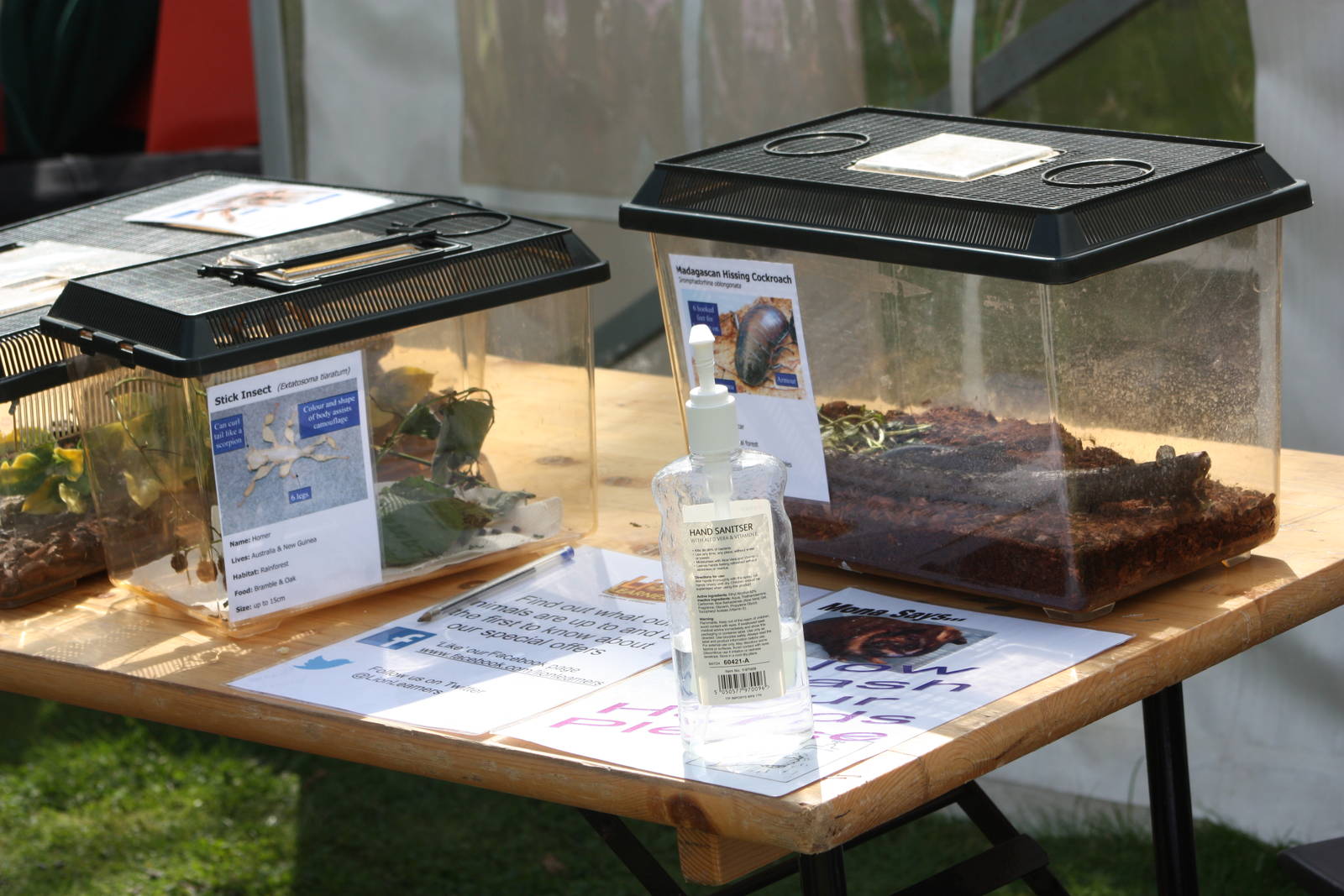 Animal handling event, 24th August 2014