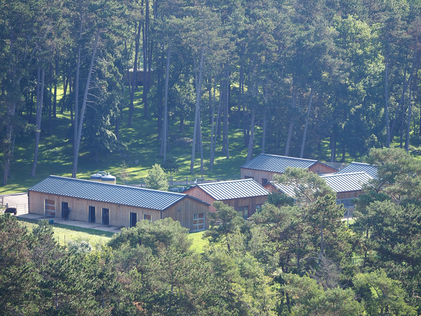 Animal holding and service buildings, 2023-09-26