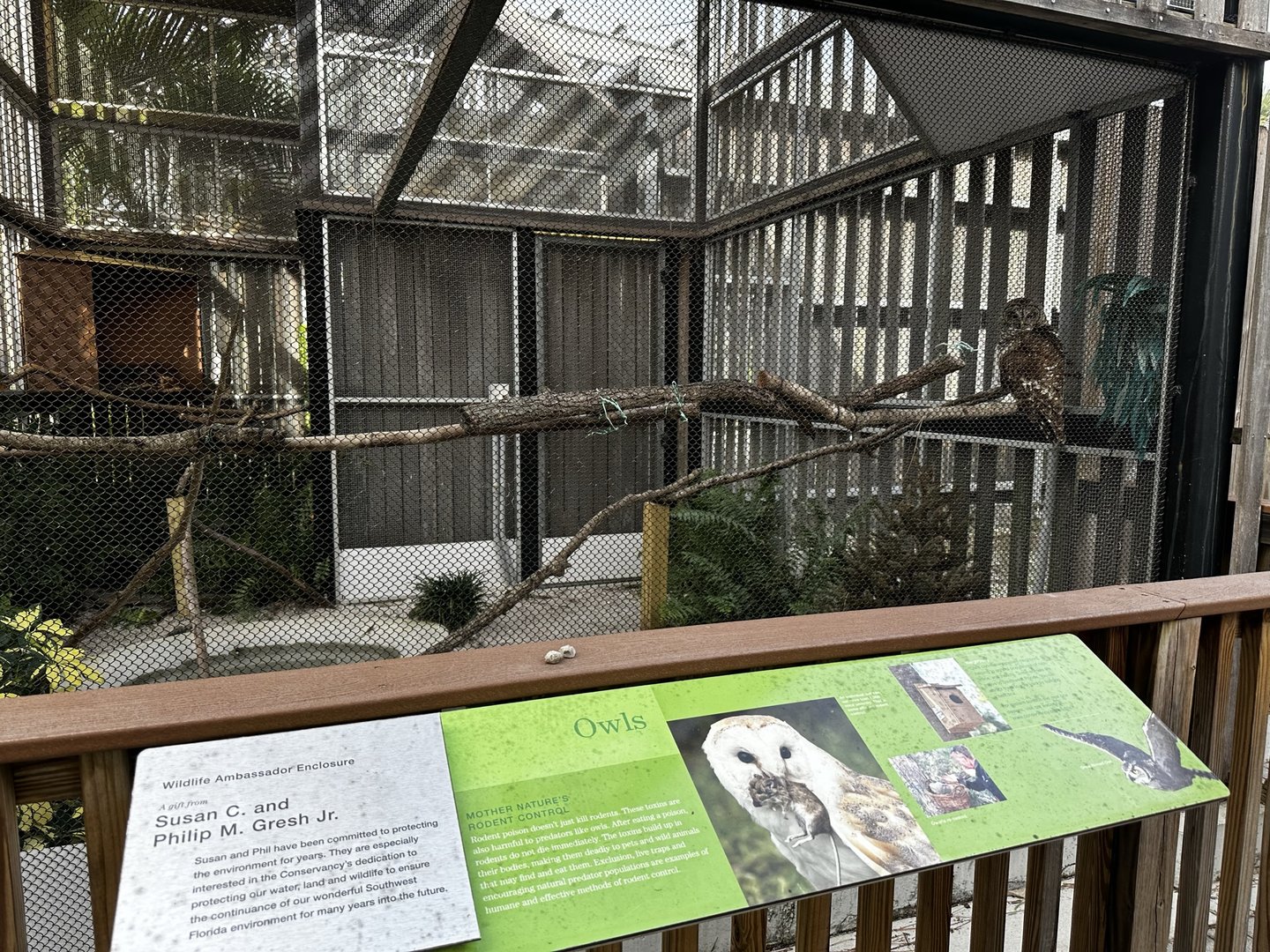 Animal Hospital - Aviary